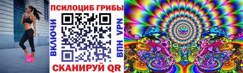 Псилоцибиновые грибы GOLDEN TEACHER  цена   Гвардейск 